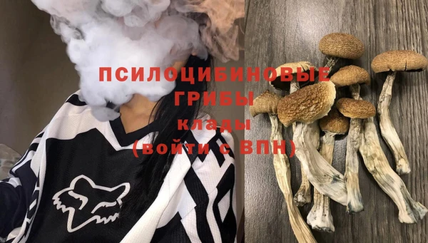 соль ск Аркадак