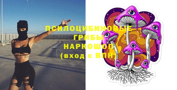 соль ск Аркадак