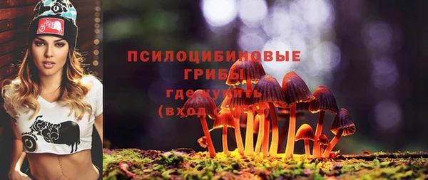 трава Армянск
